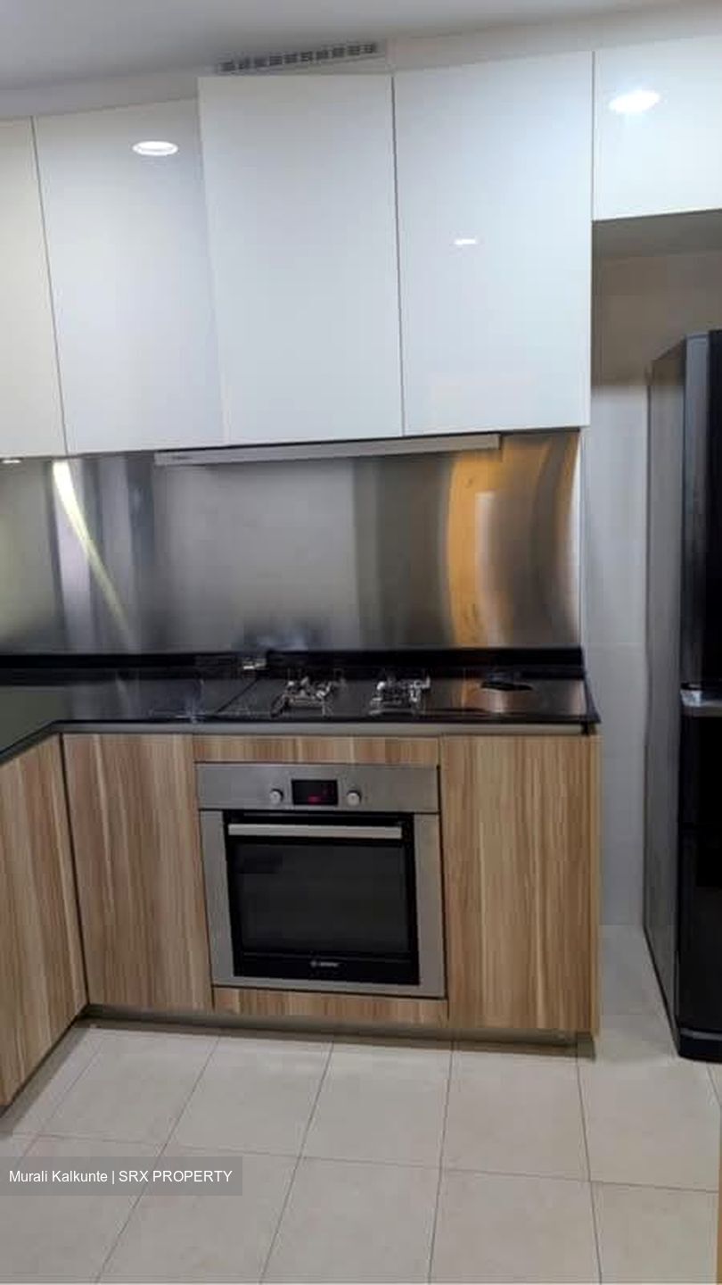 Cityscape @ Farrer Park (D8), Condominium #567678721